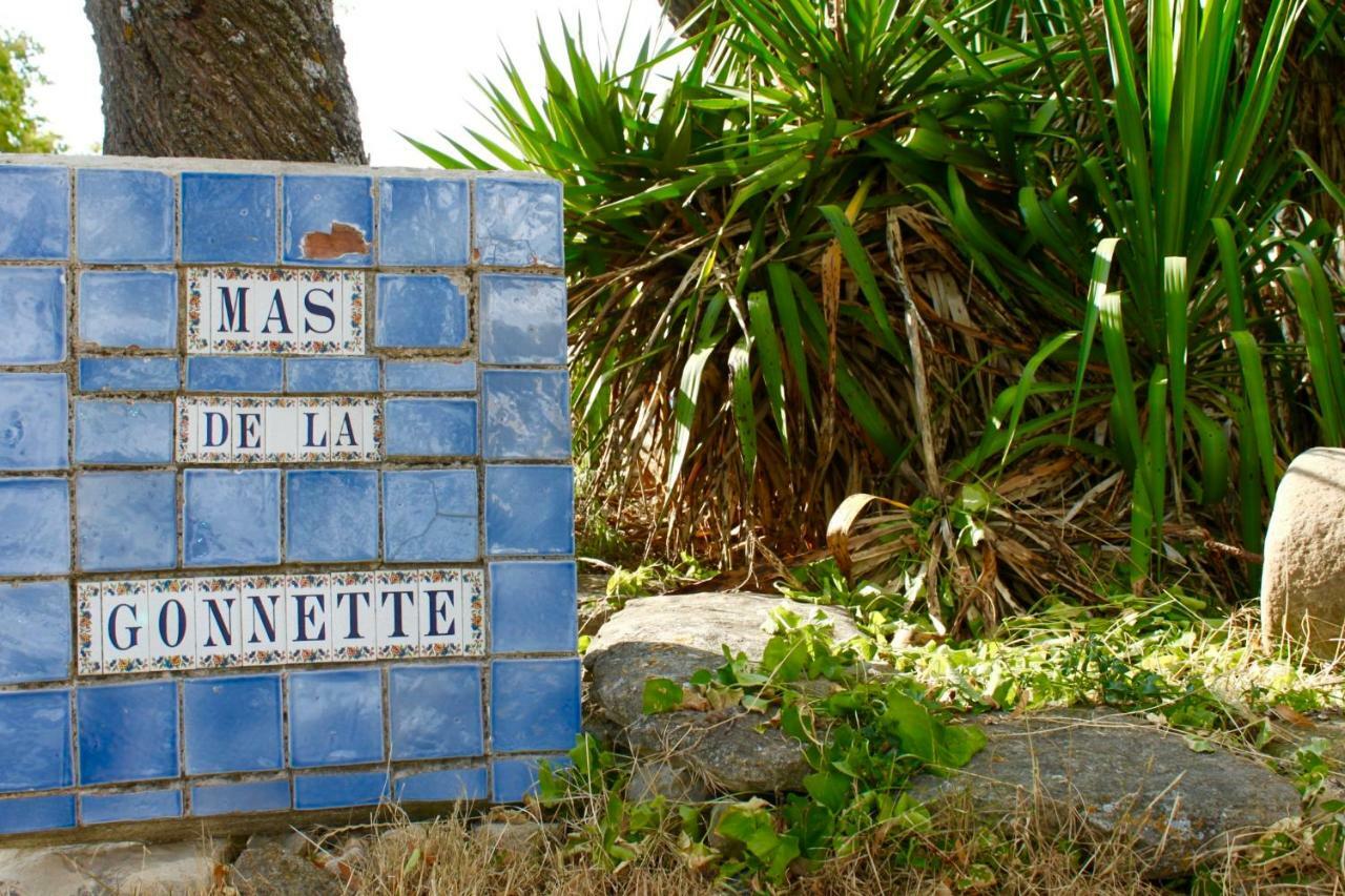 Villa Mas de la Gonnette à Venasque Extérieur photo